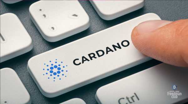 Команда Cardano работает над выпуском нового продукта cryptowiki.ru
