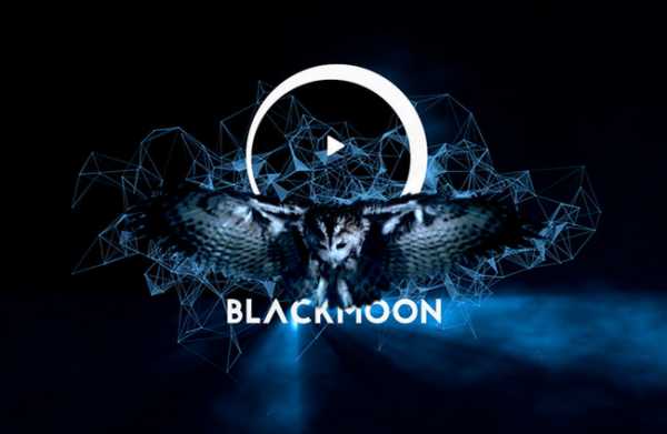 Blackmoon досрочно привлек $30 млн в ходе ICO и прекратил привлечение средств cryptowiki.ru