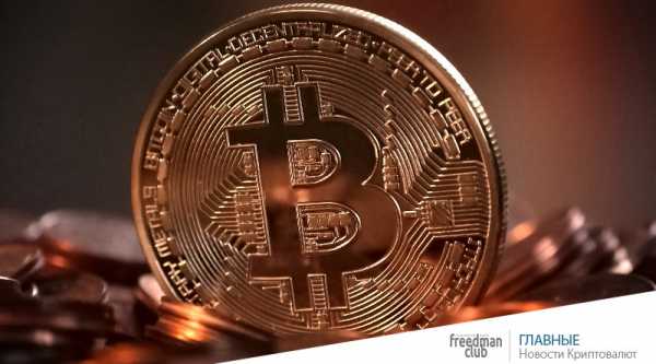 Вернет ли Bitcoin Gold власть обычным пользователям cryptowiki.ru