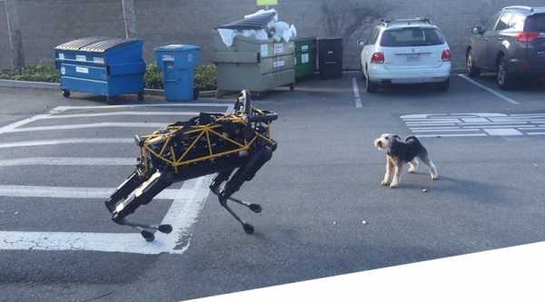 SpotMini: встречайте самого проворного робота-собаку в мире cryptowiki.ru
