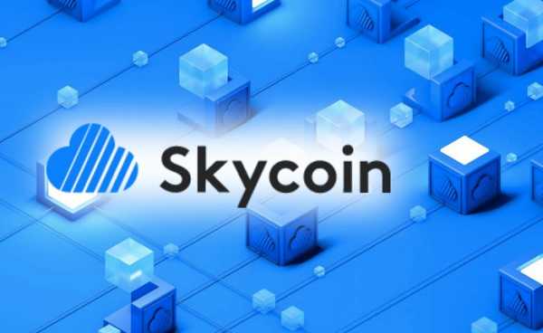 Глава Skycoin признался в торговых манипуляциях с токеном компании cryptowiki.ru