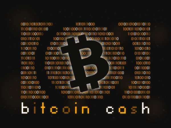 Разработчик Bitcoin Core нашёл критическую уязвимость в коде Bitcoin Cash cryptowiki.ru