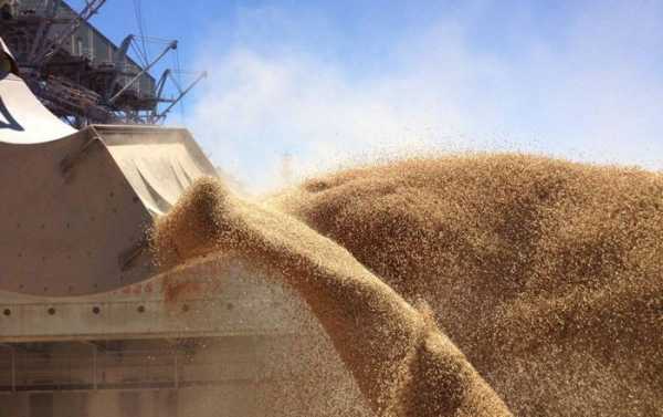 Произведена пилотная сделка по продаже российской пшеницы через DLT-платформу cryptowiki.ru