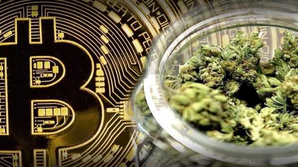 Налог на продажу марихуаны в Калифорнии можно будет заплатить криптовалютами cryptowiki.ru