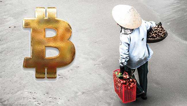 Вьетнам запустит первую официальную биржу для торговли криптовалютой cryptowiki.ru