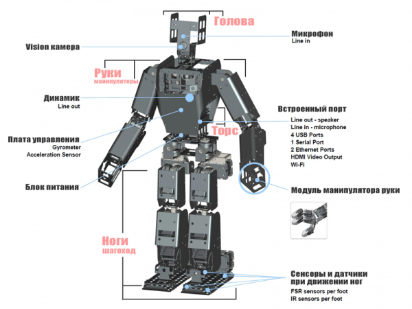 Что такое робототехника? Классификация, история и области применения роботов cryptowiki.ru
