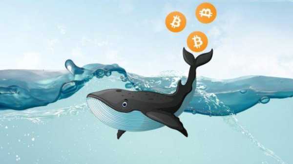 Крипто-киты вывели сегодня с OKEx и Bitfinex $66 млн на свои кошельки cryptowiki.ru