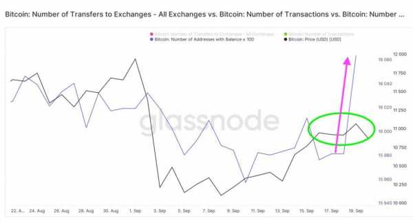 Прогноз на курс Bitcoin: монета подешевеет до $9600 к 29 сентября cryptowiki.ru