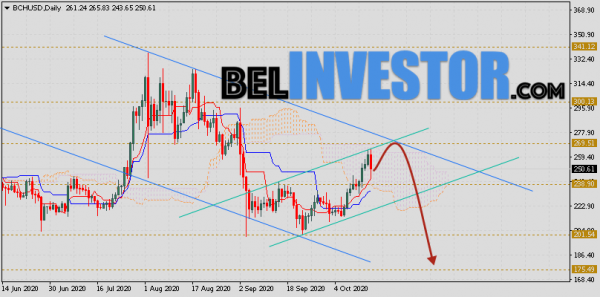 Bitcoin Cash прогноз курса на неделю 19 — 23 октября 2020 cryptowiki.ru