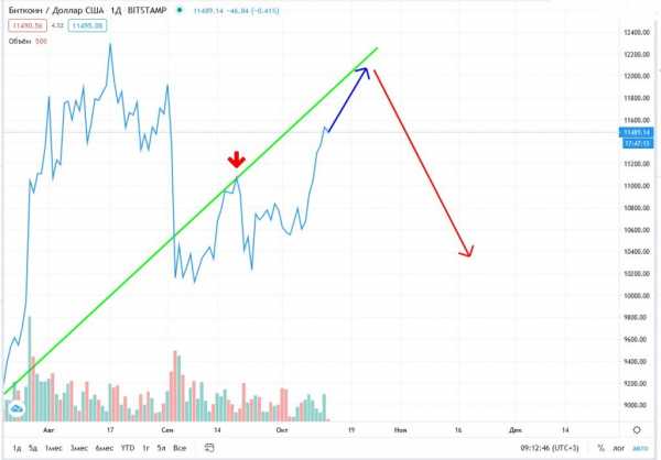 Прогноз на курс Bitcoin: монета подорожает до $12 000 к 20 октября cryptowiki.ru
