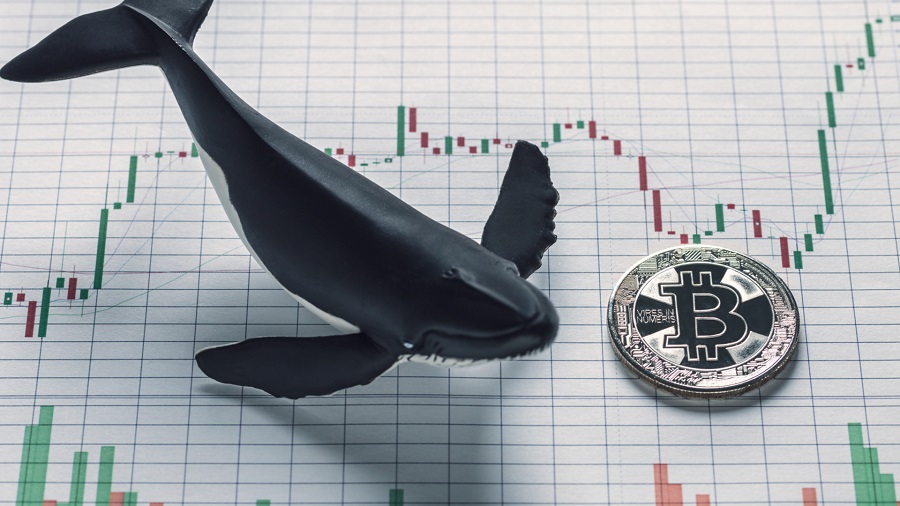 Glassnode: «криптовалютные "киты" в феврале продали 140 000 BTC»