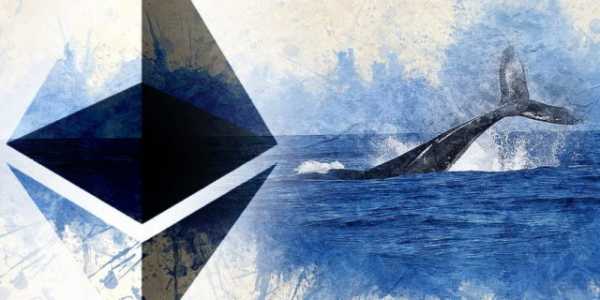 В сети Ethereum резко возросло число «китов» cryptowiki.ru