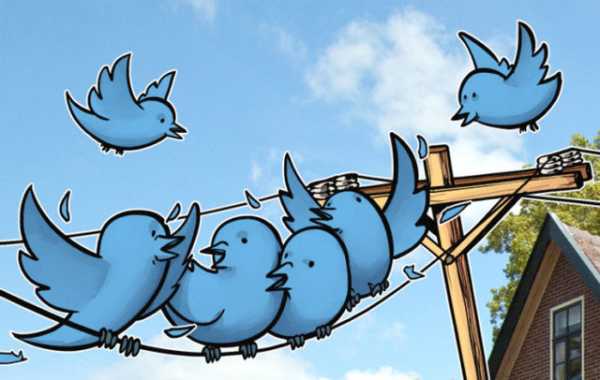 Аккаунты известных криптоэнтузиастов в Twitter попали под блокировку cryptowiki.ru