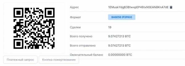 На скам-кошелек Илона Маска отправили $257 000 cryptowiki.ru
