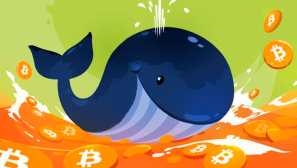 Действия «биткоин-китов» сигнализируют о скором развороте тренда и росте BTC cryptowiki.ru