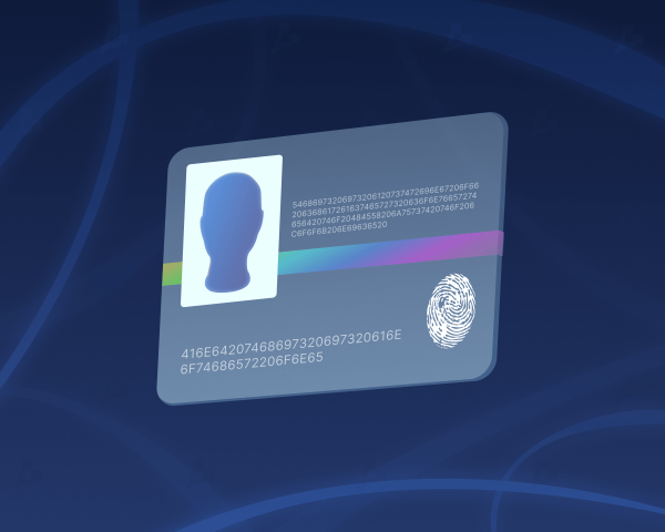 Что такое суверенная идентичность (Self-Sovereign Identity)? cryptowiki.ru