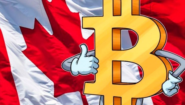 Исследование Hardbacon: 28% жителей Канады уже купили криптовалюту cryptowiki.ru