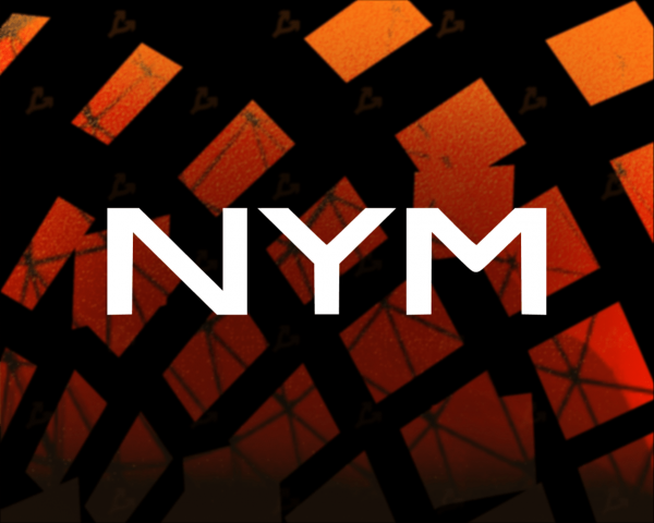 Стартап Nym Technologies привлек $13 млн на развитие приватного интернета на блокчейне cryptowiki.ru