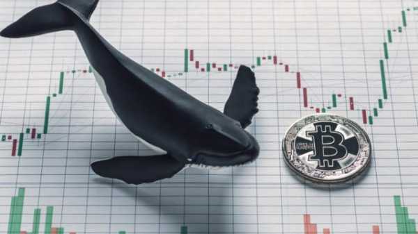 Децентрализованные биржи захватывают «киты» cryptowiki.ru