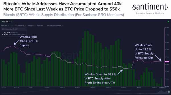 На Coinbase зафиксирована высокая активность биткоин-китов cryptowiki.ru