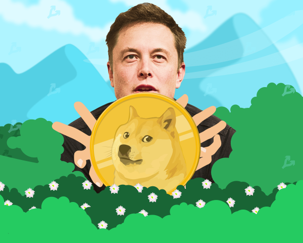Илон Маск сообщил о старте продаж мерча от Tesla за Dogecoin cryptowiki.ru